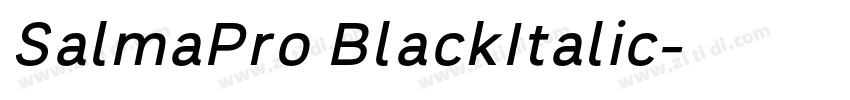 SalmaPro BlackItalic字体转换 SalmaPro BlackItalic字体转换